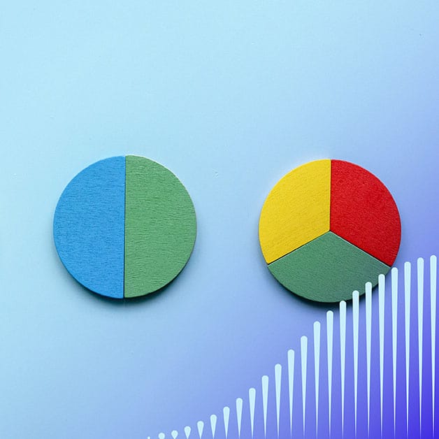 Two colored pie charts made of wood